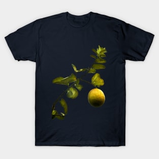 Lemon Tree at Night T-Shirt